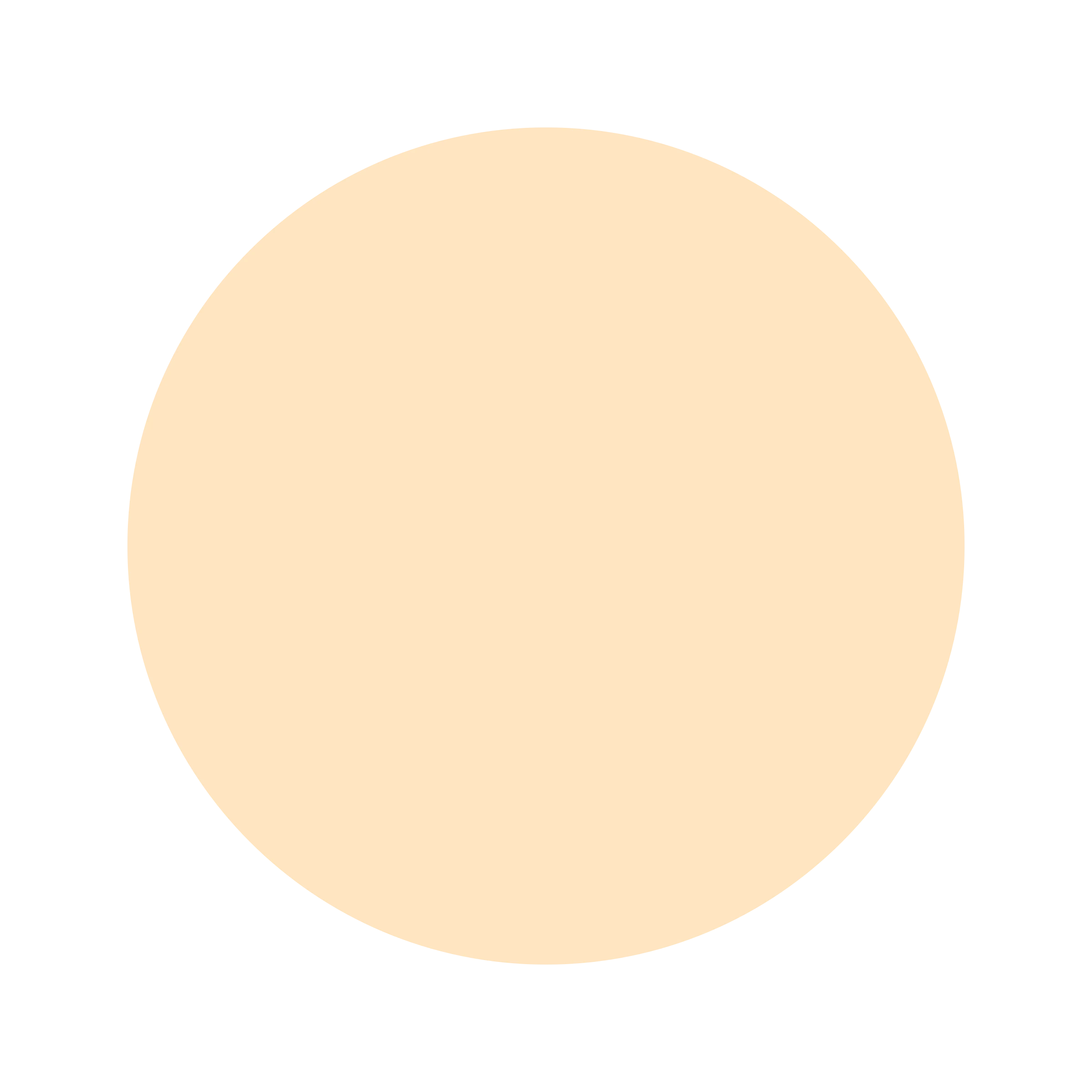Ceresita Brushed Peach