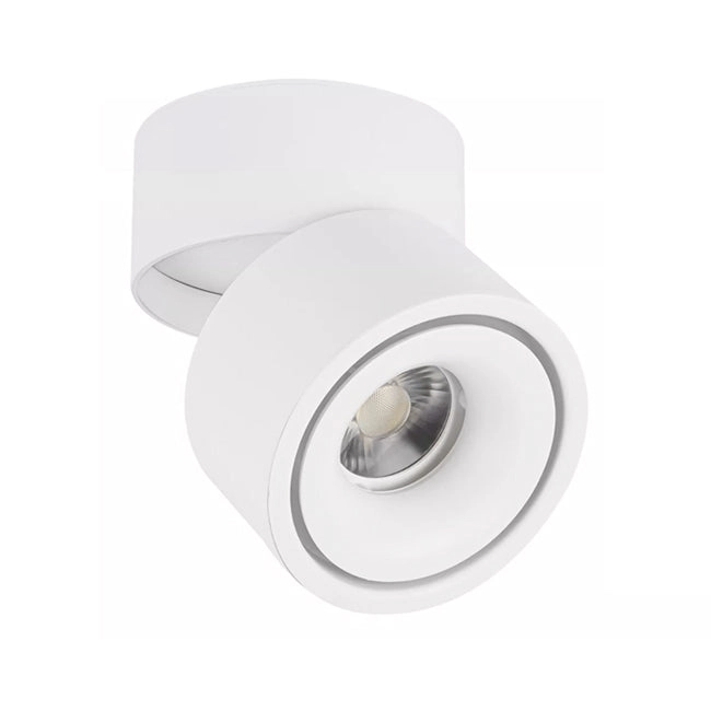 Foco sobrepuesto dimeable aluminio blanco Ø 10 cm LED 12W - TOFO0004