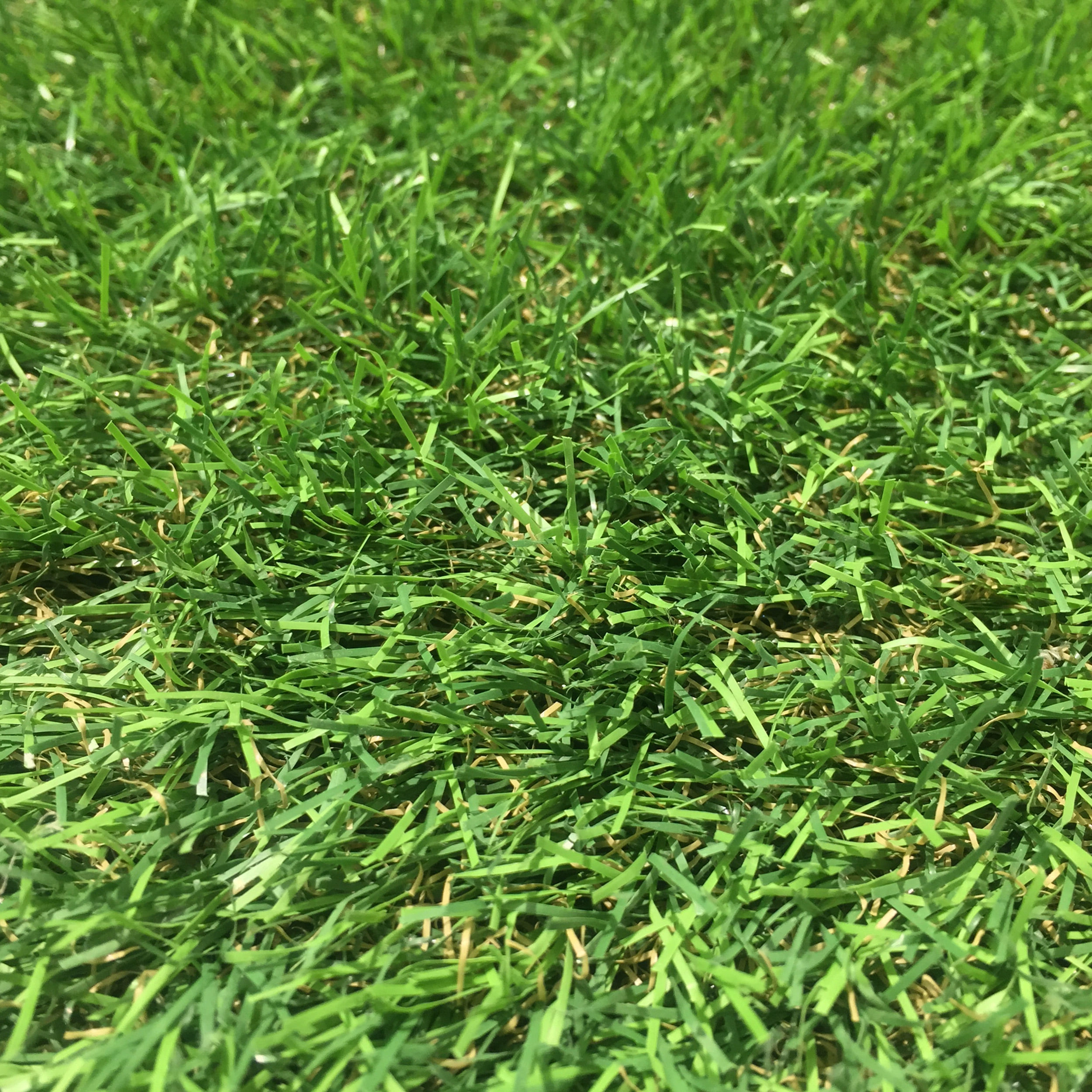 Pasto Sintético en Rollo Grass Bamboo 10x1 m (30 mm)