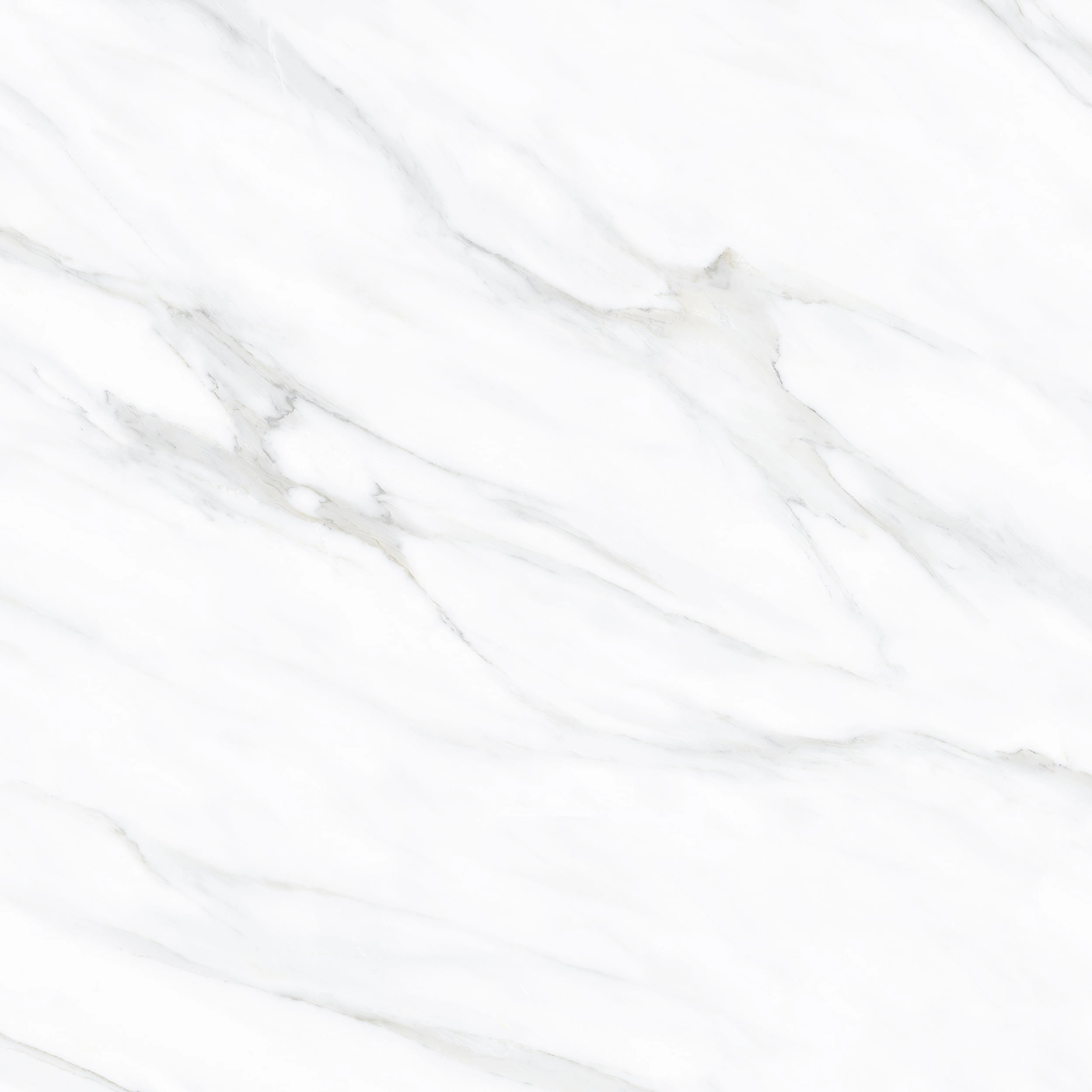 Gres Porcelánico Pietra Di Roma Blanco Pulido 60x60 cm
