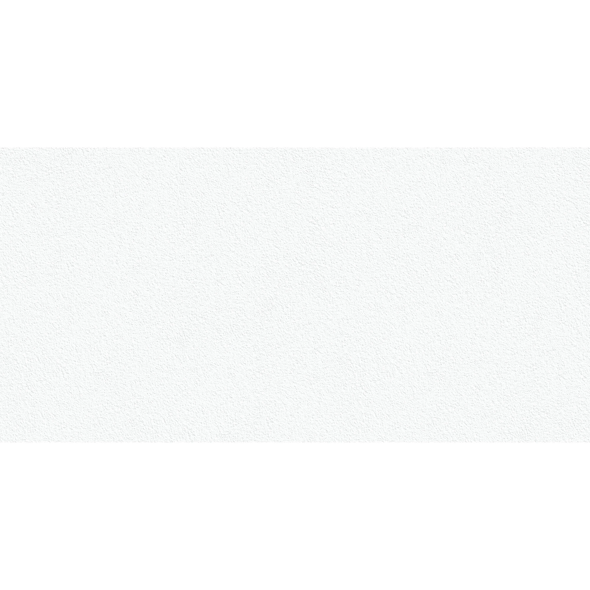 Plancha Ultracompacto Absolut White Mate 160x320 cm