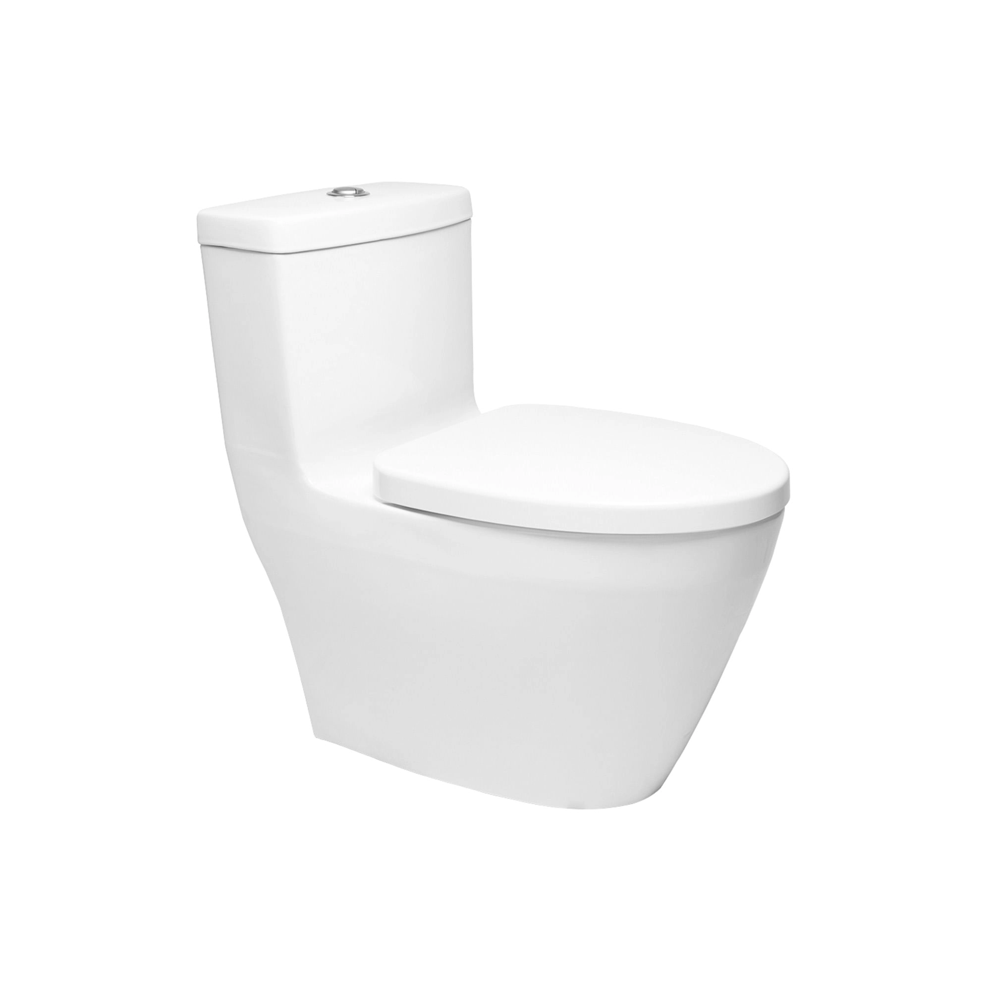 WC One Piece Fonte Descarga a Piso 305 mm