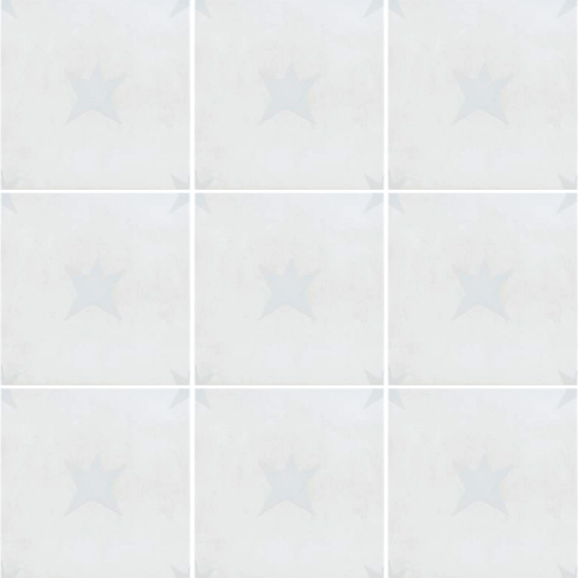 Porcelanato Agatha 21 Magic White Mate 22.3x22.3 cm