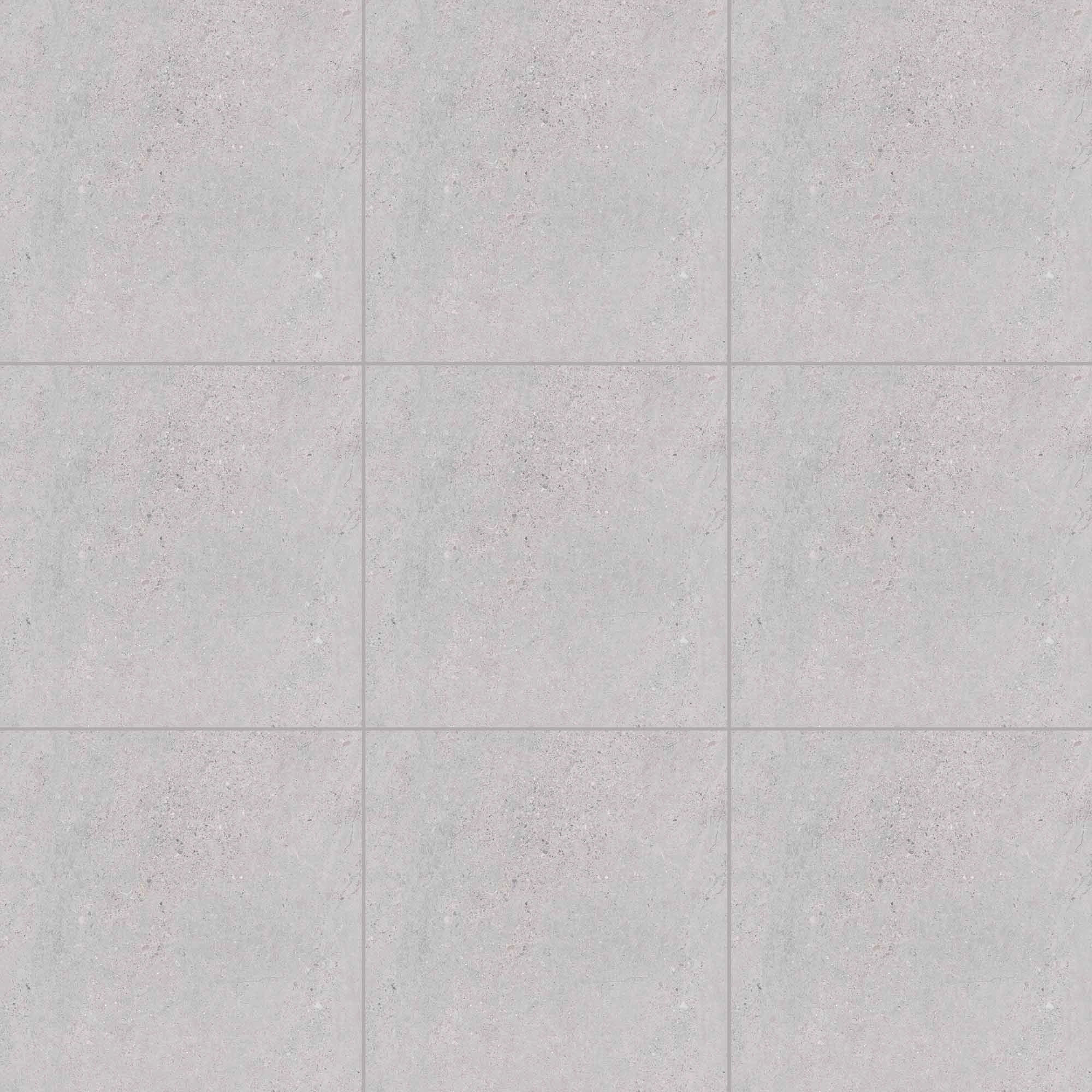 Porcelanato Terramix Silver Mate Inout Antideslizante 20 mm 60x60 cm