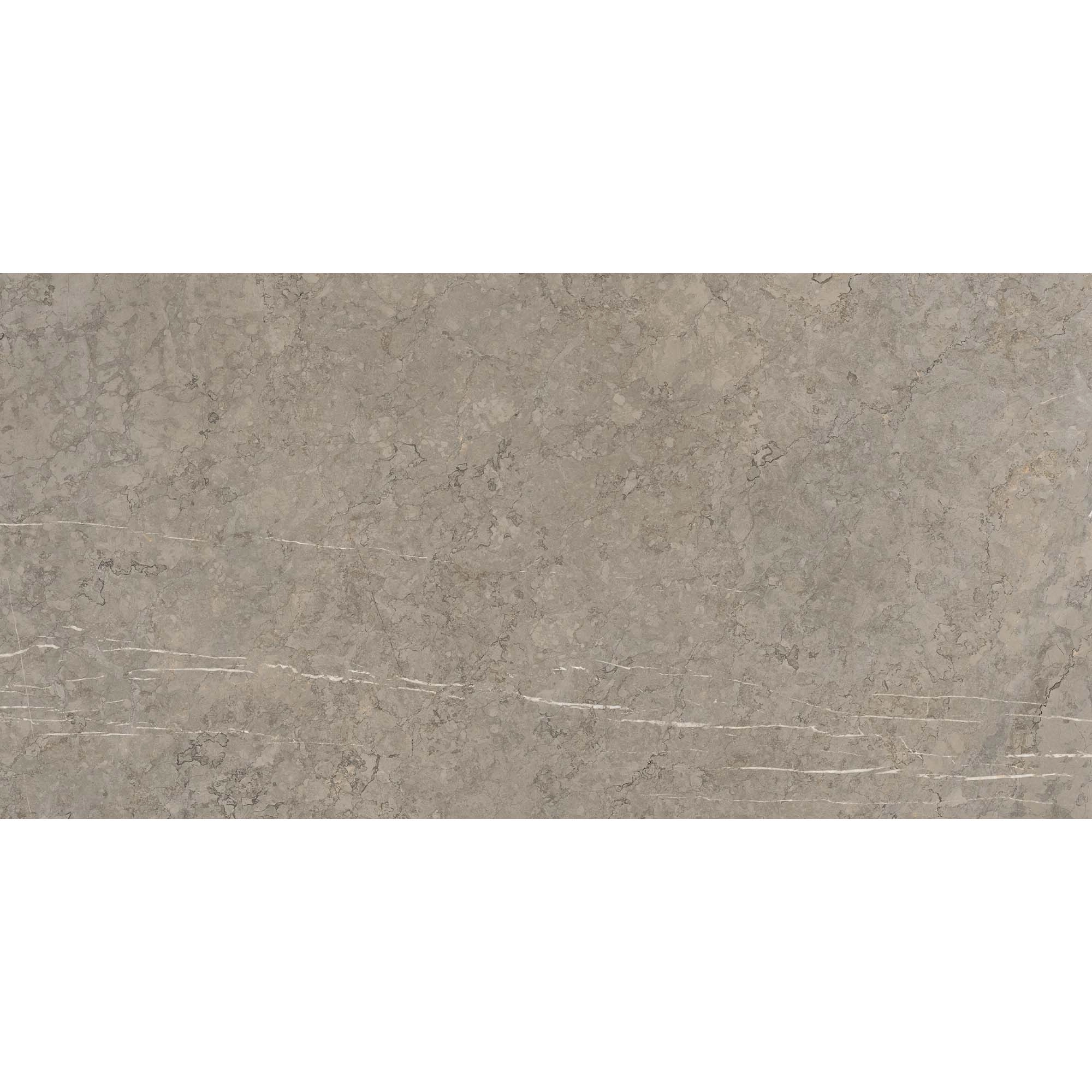 Porcelanato Sense Taupe Levigato 60x120 cm