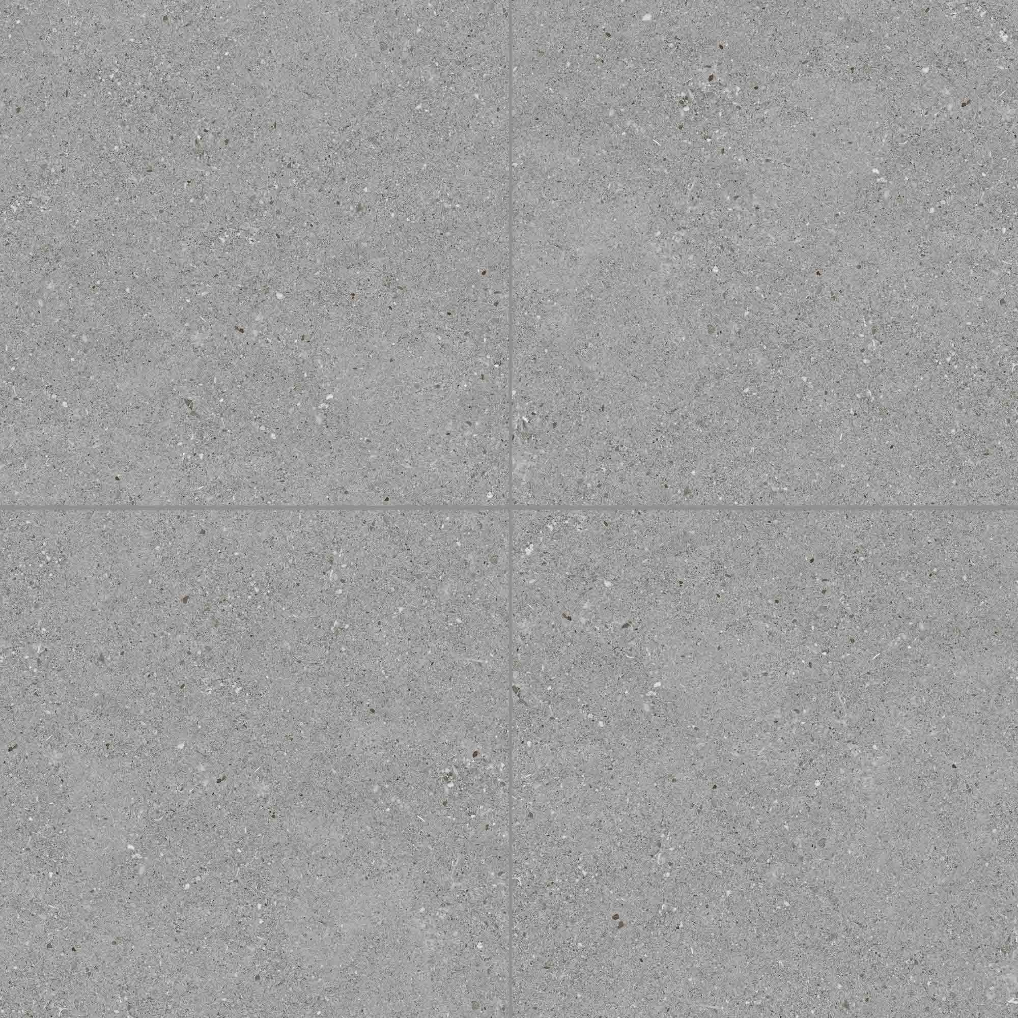 Gres Porcelánico Nasa Gris Mate 60x60 cm
