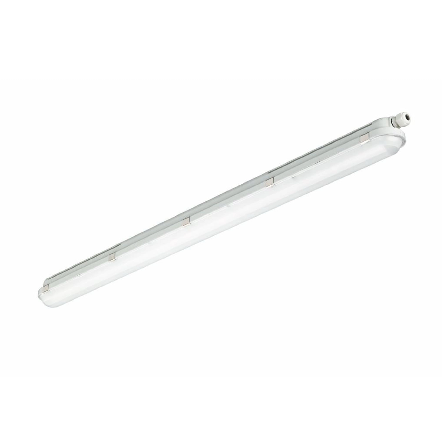ESTANCO PHILIPS CORELINE WATERPROOF GEN3 DALI 37.5W LUZ NEUTRA (4000K) IP66 GRIS (911401838588)